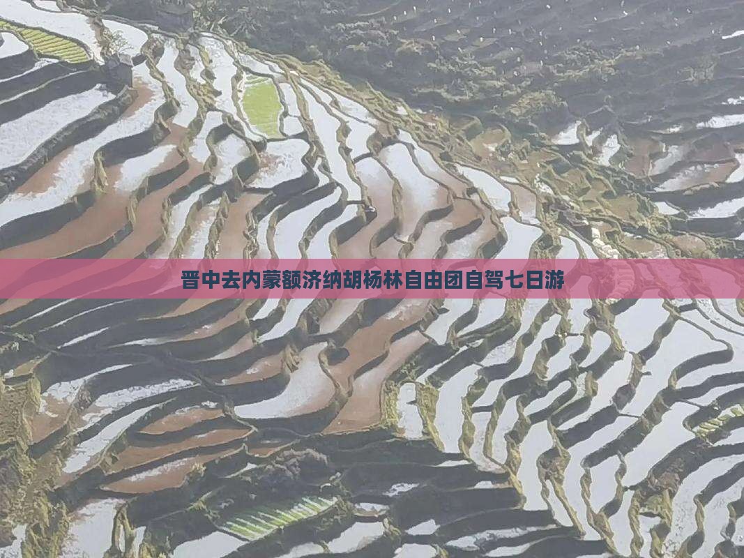 晋中去内蒙额济纳胡杨林自由团自驾七日游