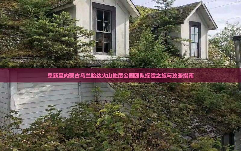 阜新至内蒙古乌兰哈达火山地质公园团队探险之旅与攻略指南