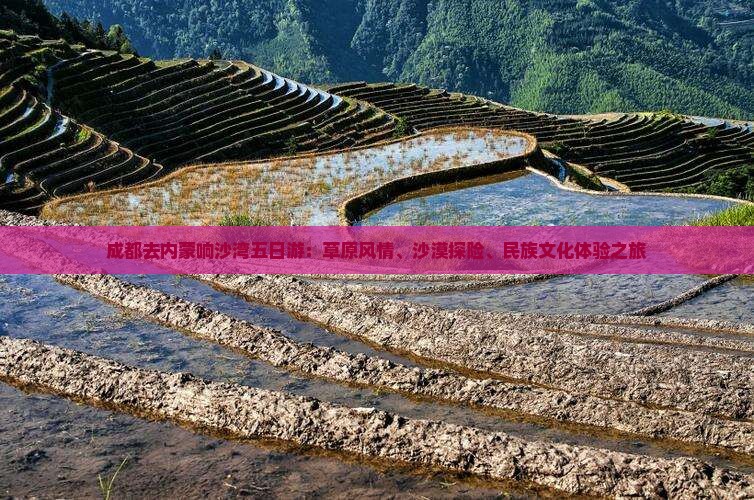 成都去内蒙响沙湾五日游：草原风情、沙漠探险、民族文化体验之旅
