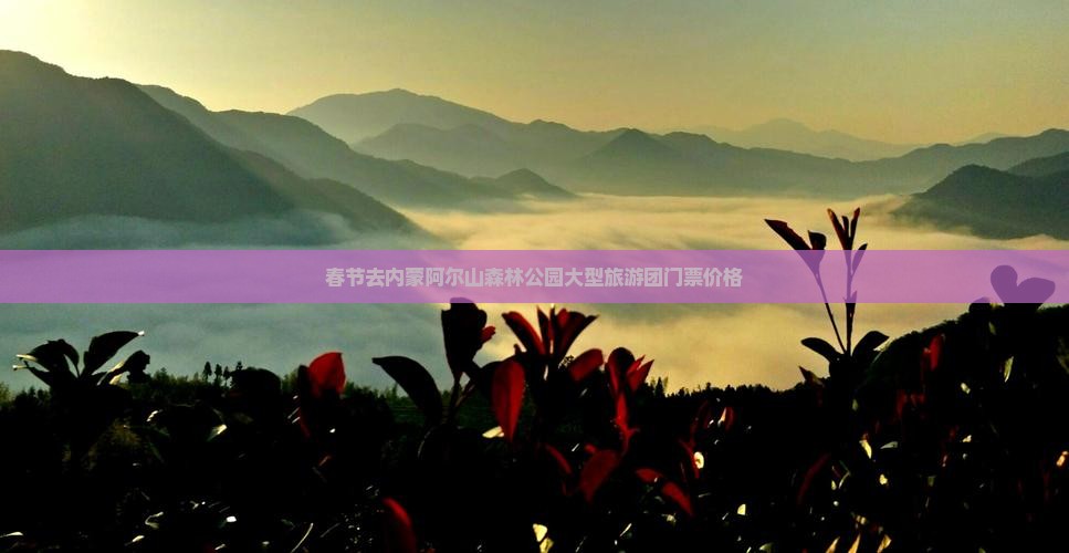 春节去内蒙阿尔山森林公园大型旅游团门票价格