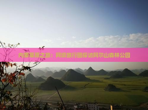 内蒙草原之旅：阿坝旅行团探访阿尔山森林公园