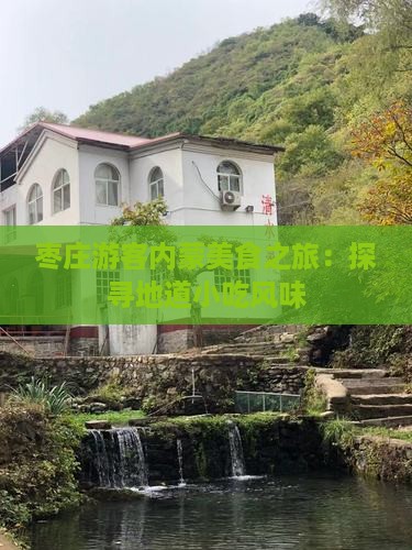 枣庄游客内蒙美食之旅：探寻地道小吃风味