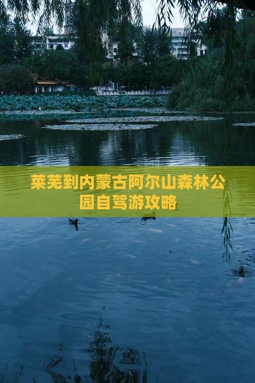 莱芜到内蒙古阿尔山森林公园自驾游攻略