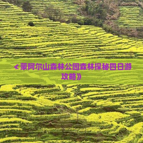 ≮蒙阿尔山森林公园森林探秘四日游攻略》