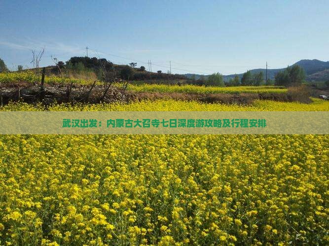 武汉出发：内蒙古大召寺七日深度游攻略及行程安排