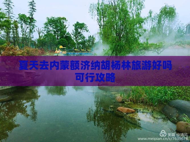 夏天去内蒙额济纳胡杨林旅游好吗可行攻略