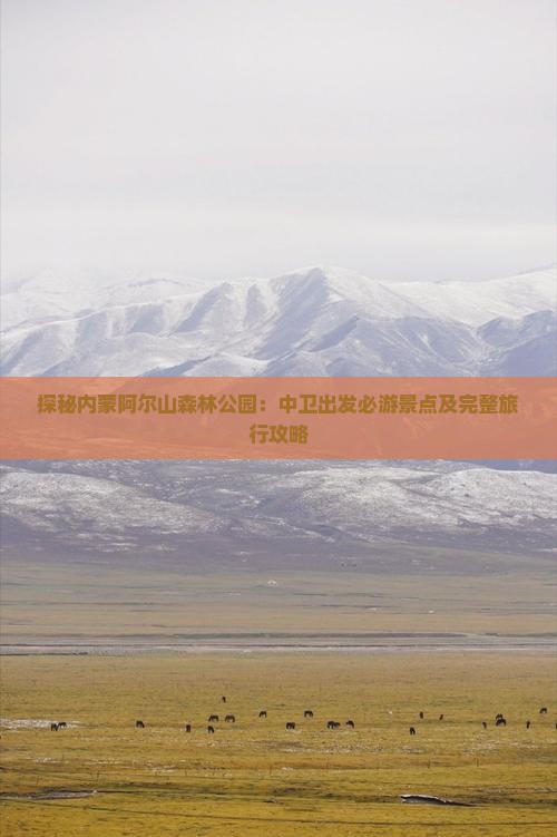 探秘内蒙阿尔山森林公园：中卫出发必游景点及完整旅行攻略