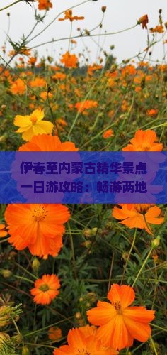 伊春至内蒙古精华景点一日游攻略：畅游两地风光