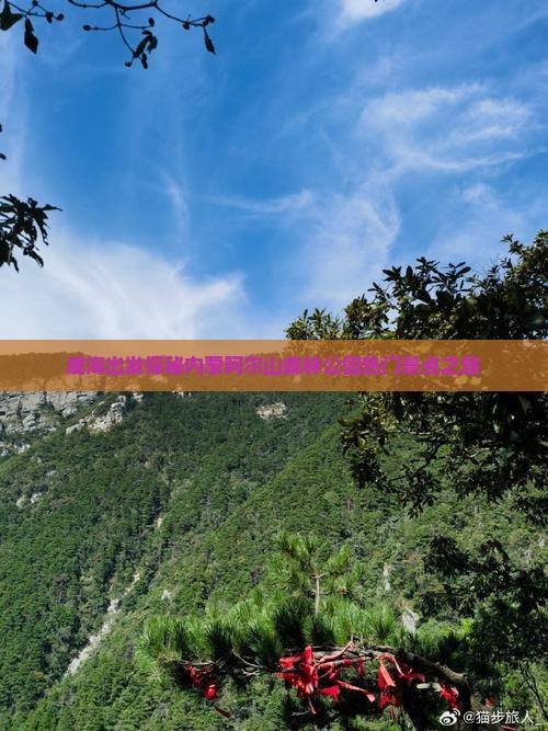 威海出发探秘内蒙阿尔山森林公园热门景点之旅