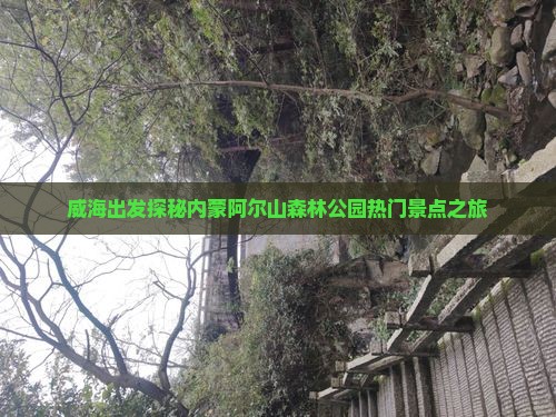 威海出发探秘内蒙阿尔山森林公园热门景点之旅