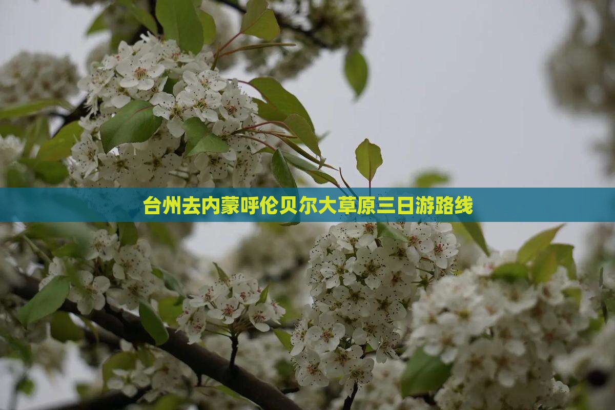 台州去内蒙呼伦贝尔大草原三日游路线