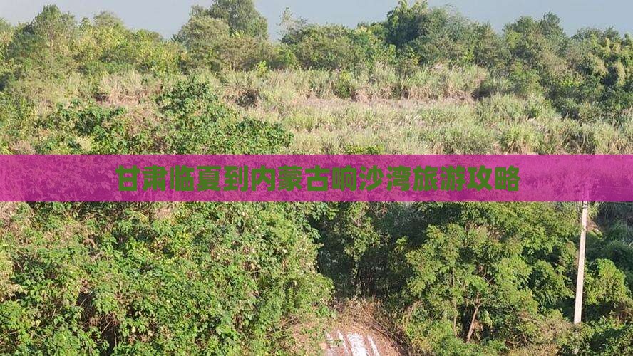 甘肃临夏到内蒙古响沙湾旅游攻略