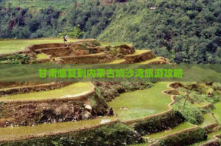 甘肃临夏到内蒙古响沙湾旅游攻略