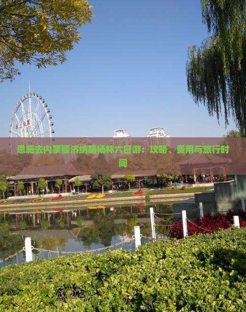 恩施去内蒙额济纳胡杨林六日游：攻略、费用与旅行时间