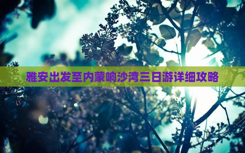 雅安出发至内蒙响沙湾三日游详细攻略