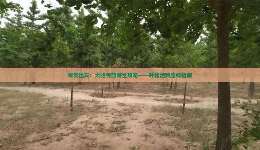 泰安出发：大昭寺旅游全攻略——呼和浩特路线指南