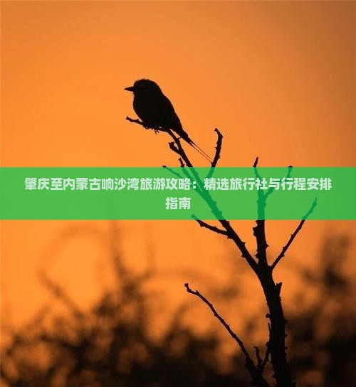 肇庆至内蒙古响沙湾旅游攻略：精选旅行社与行程安排指南
