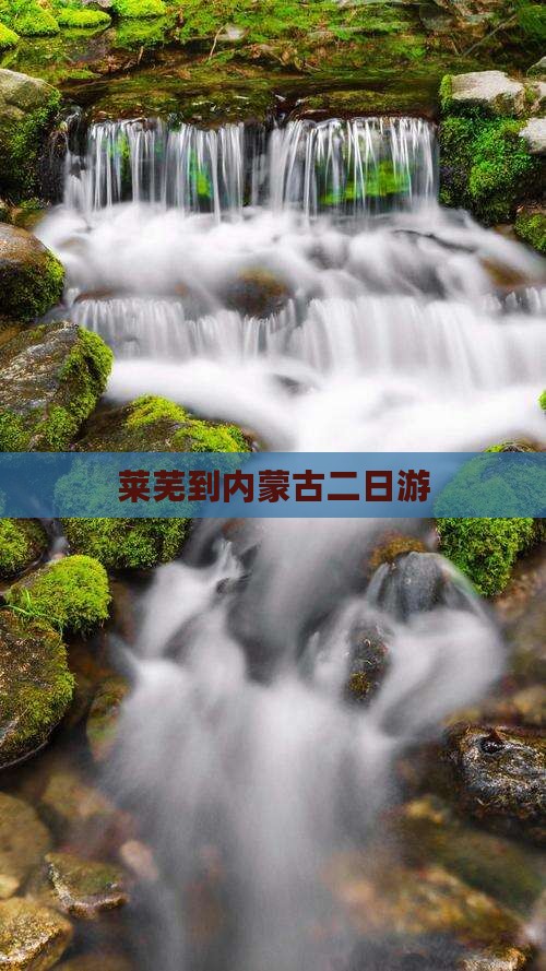 莱芜到内蒙古二日游