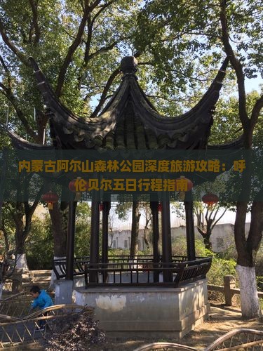 内蒙古阿尔山森林公园深度旅游攻略：呼伦贝尔五日行程指南