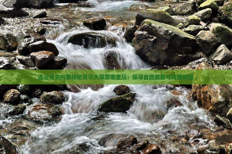 连云港去内蒙呼伦贝尔大草原哪里玩：探寻自然美景与风情体验
