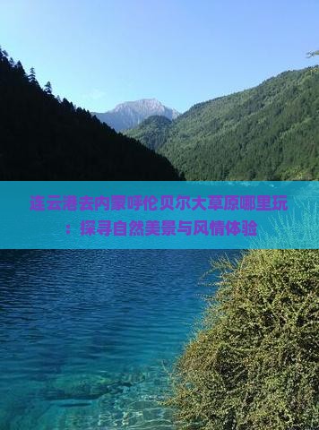 连云港去内蒙呼伦贝尔大草原哪里玩：探寻自然美景与风情体验