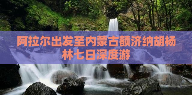 阿拉尔出发至内蒙古额济纳胡杨林七日深度游