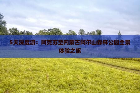 5天深度游：阿克苏至内蒙古阿尔山森林公园全景体验之旅
