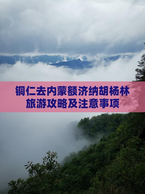铜仁去内蒙额济纳胡杨林旅游攻略及注意事项