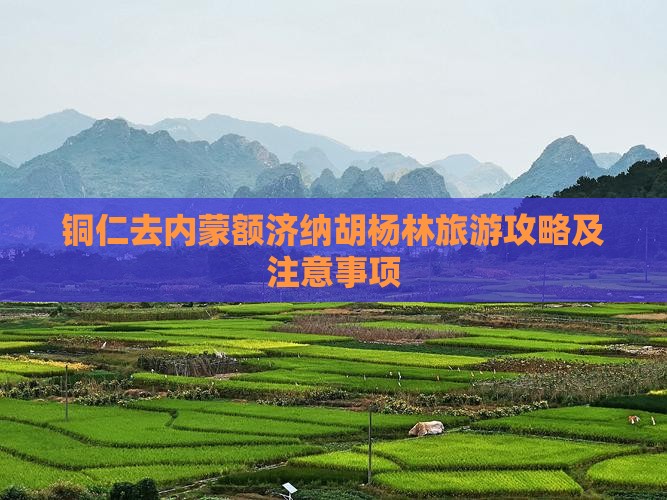 铜仁去内蒙额济纳胡杨林旅游攻略及注意事项