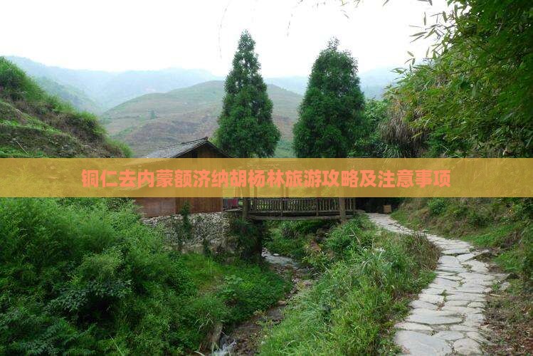 铜仁去内蒙额济纳胡杨林旅游攻略及注意事项