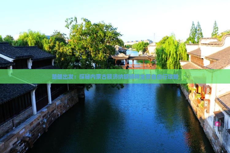 楚雄出发：探秘内蒙古额济纳胡杨林全景自由行攻略