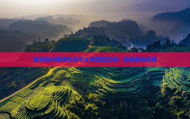 淮安到内蒙呼伦贝尔大草原四日游：经典路线详解