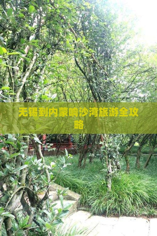 无锡到内蒙响沙湾旅游全攻略