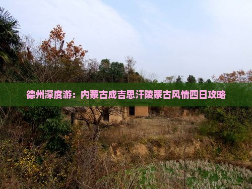 德州深度游：内蒙古成吉思汗陵蒙古风情四日攻略