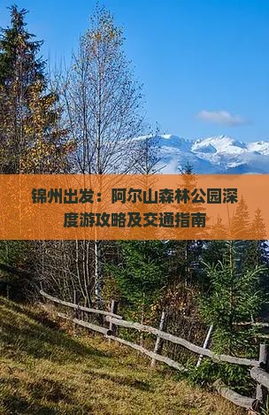 锦州出发：阿尔山森林公园深度游攻略及交通指南