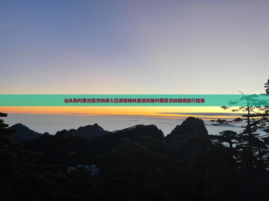 汕头到内蒙古额济纳旗七日游胡杨林旅游攻略内蒙额济纳胡杨旅行指南