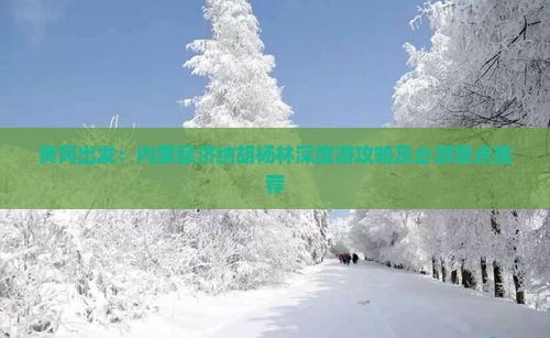 黄冈出发：内蒙额济纳胡杨林深度游攻略及必游景点推荐