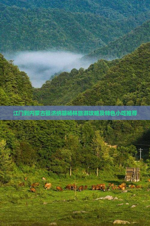江门到内蒙古额济纳胡杨林旅游攻略及特色小吃推荐