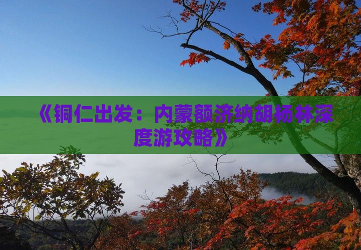 《铜仁出发：内蒙额济纳胡杨林深度游攻略》