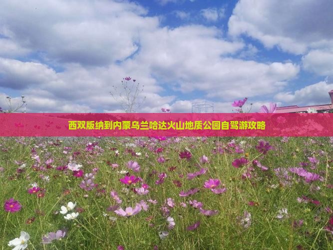 西双版纳到内蒙乌兰哈达火山地质公园自驾游攻略