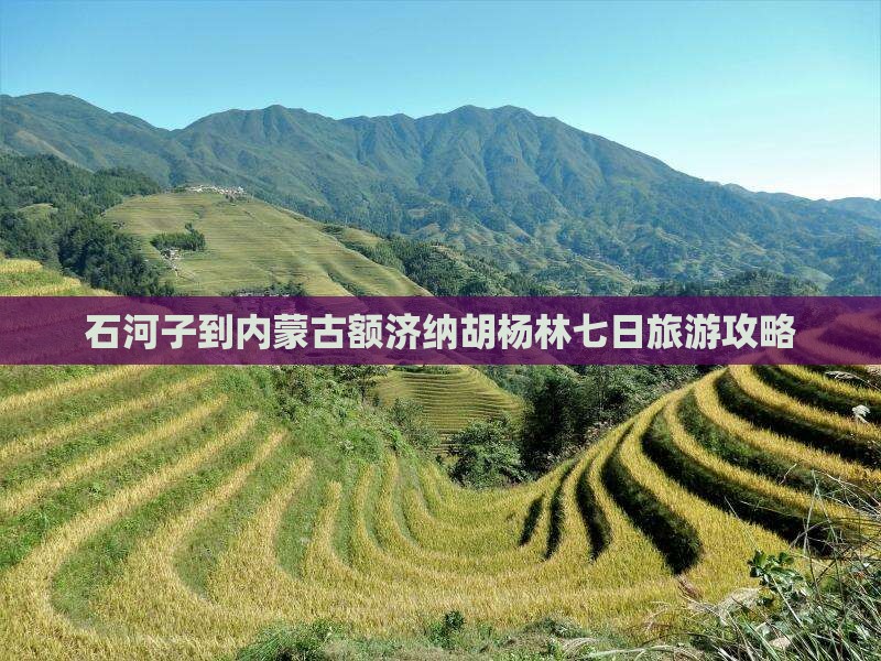 石河子到内蒙古额济纳胡杨林七日旅游攻略
