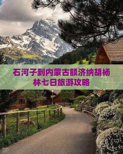 石河子到内蒙古额济纳胡杨林七日旅游攻略