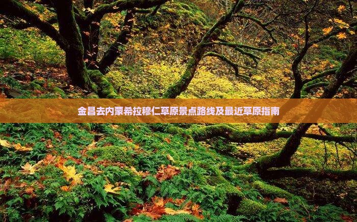 金昌去内蒙希拉穆仁草原景点路线及最近草原指南