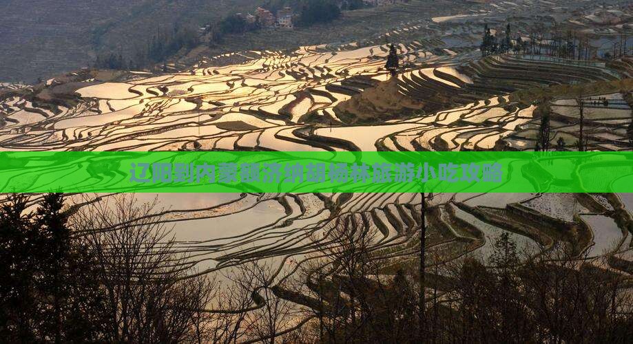 辽阳到内蒙额济纳胡杨林旅游小吃攻略