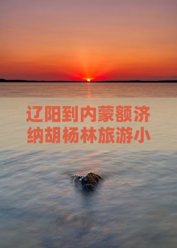 辽阳到内蒙额济纳胡杨林旅游小吃攻略