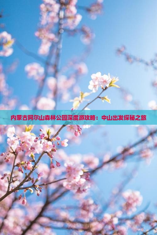 内蒙古阿尔山森林公园深度游攻略：中山出发探秘之旅