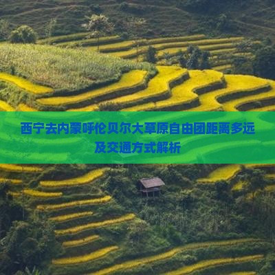 西宁去内蒙呼伦贝尔大草原自由团距离多远及交通方式解析