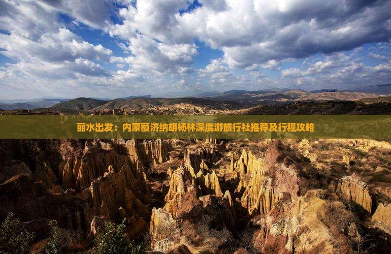 丽水出发：内蒙额济纳胡杨林深度游旅行社推荐及行程攻略