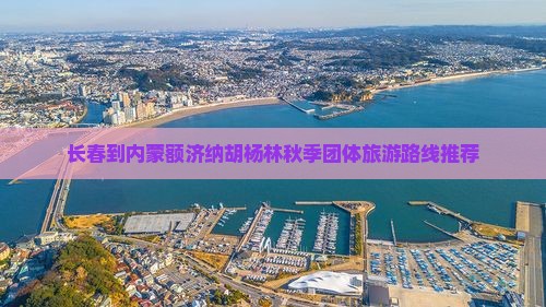 长春到内蒙额济纳胡杨林秋季团体旅游路线推荐