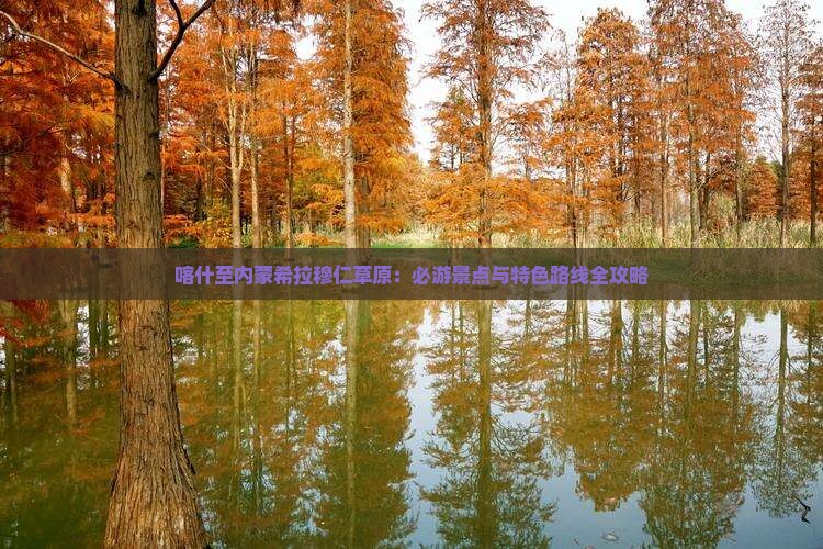 喀什至内蒙希拉穆仁草原：必游景点与特色路线全攻略